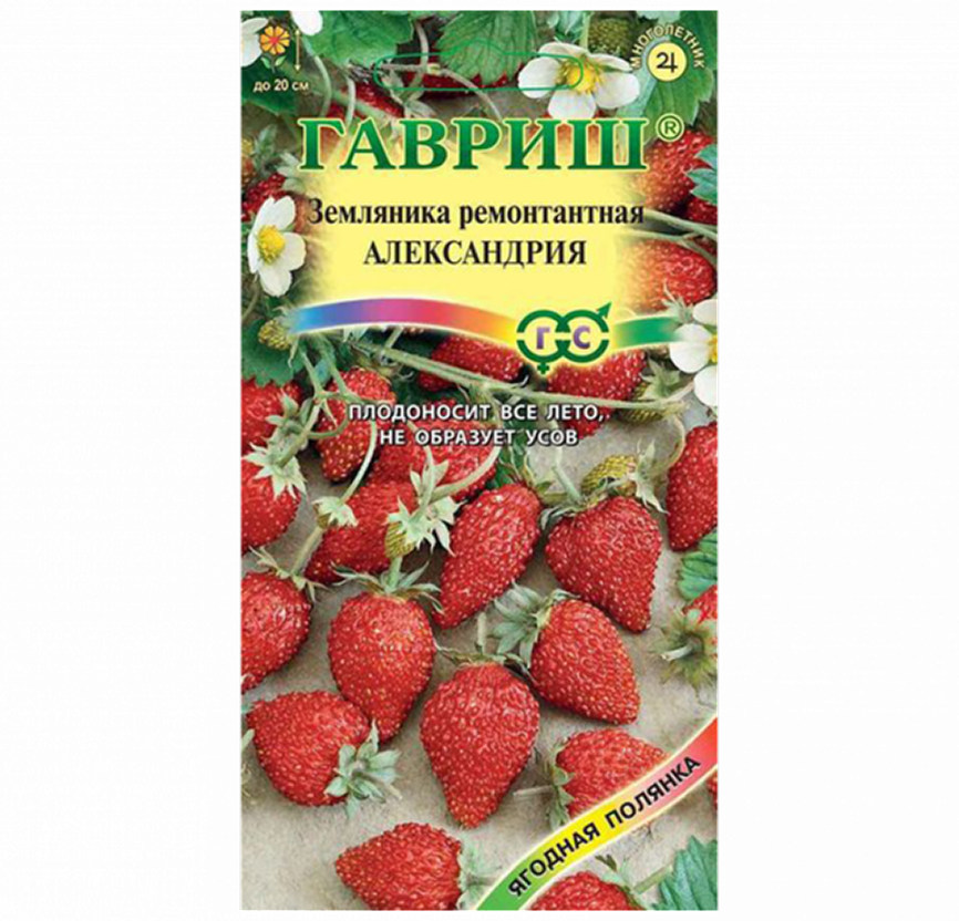 ГВ Земляника Александрия 0,03г Н11