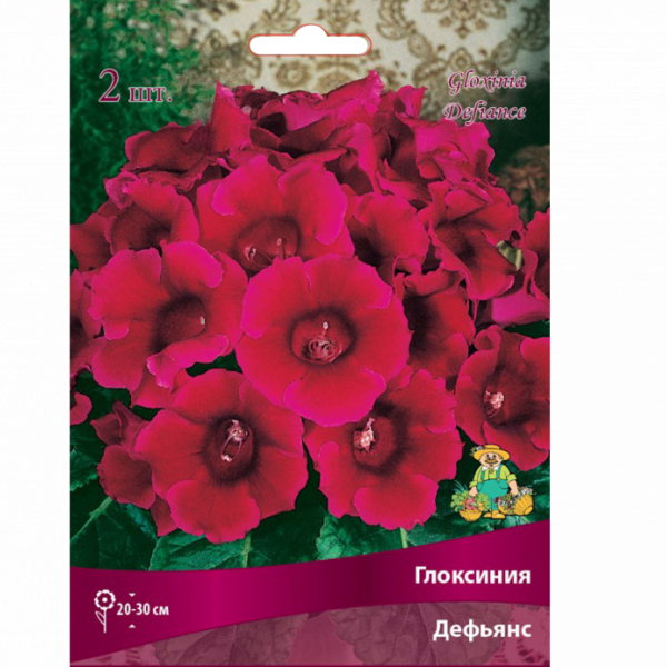 Глоксиния Дефьянс 4-5/К 2шт