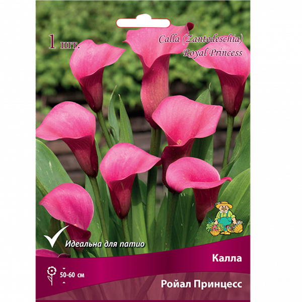 Калла Ройал Принцесс/К