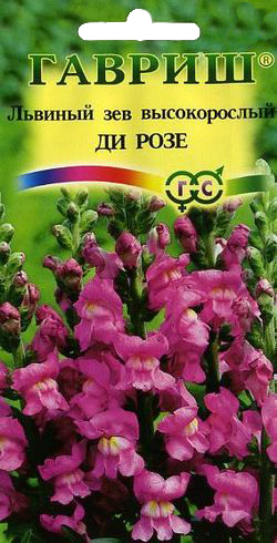 ГВ Львиный зев Ди розе 0,1г Н9