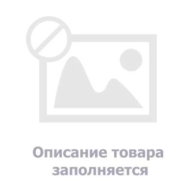 Пихта бальзамическая Киви 