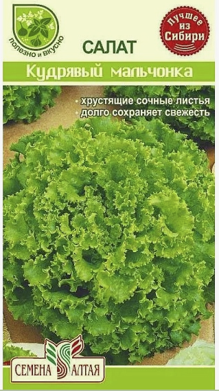 СА Салат Кудрявый Мальчонка 0,5 гр
