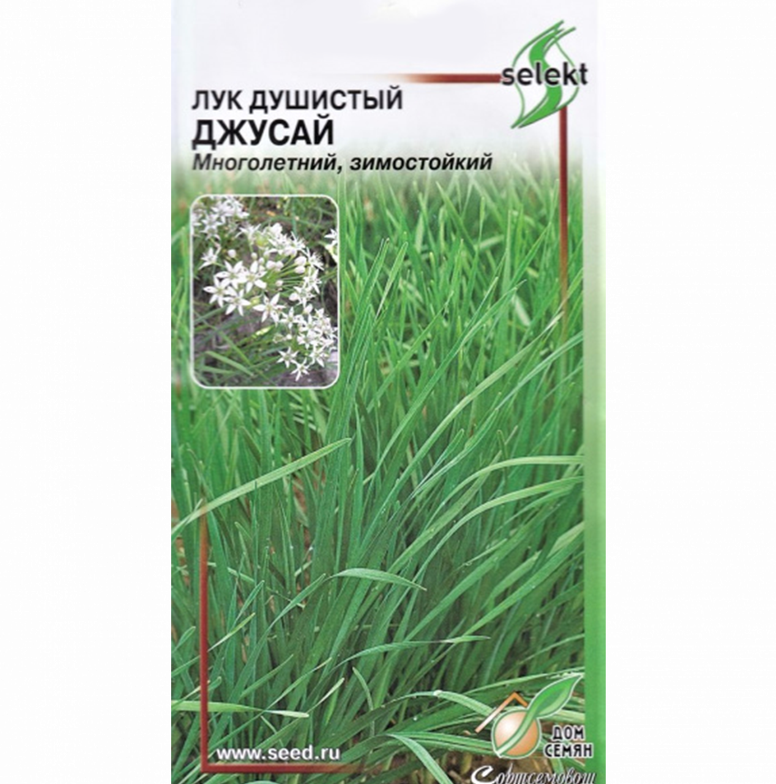 Лук душистый Джусай