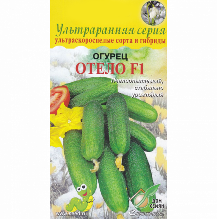 Огурец Отело F1