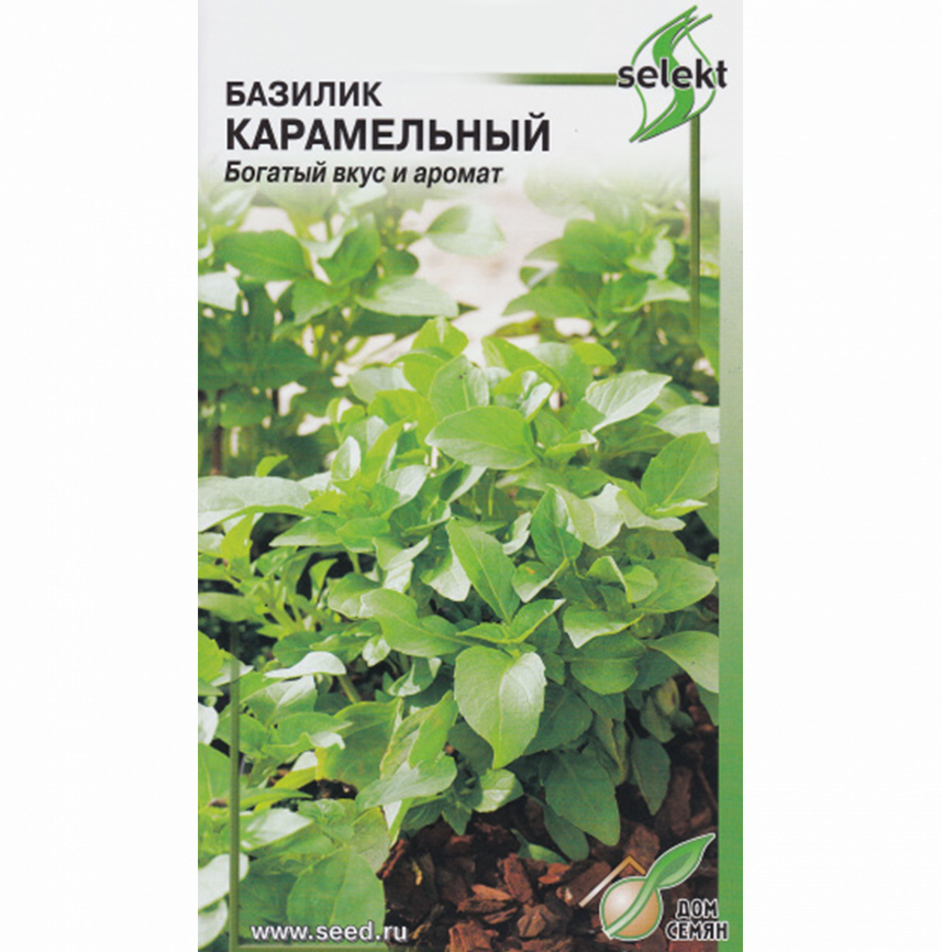 Базилик Карамельный