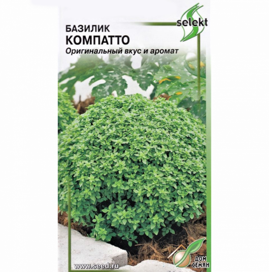 Базилик Компатто