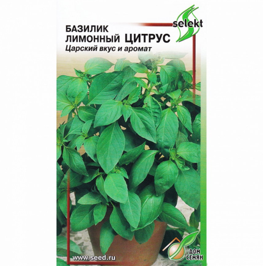 Базилик лим.Цитрус