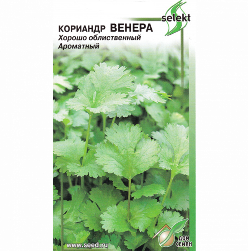 Кориандр Венера