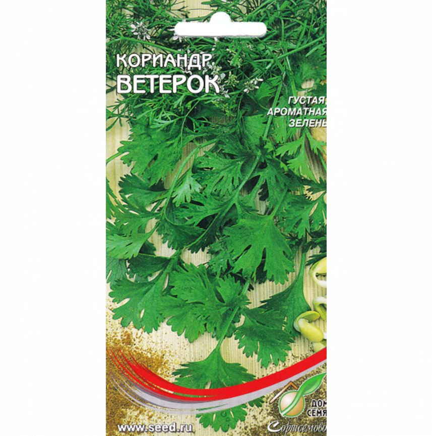 Кориандр Ветерок