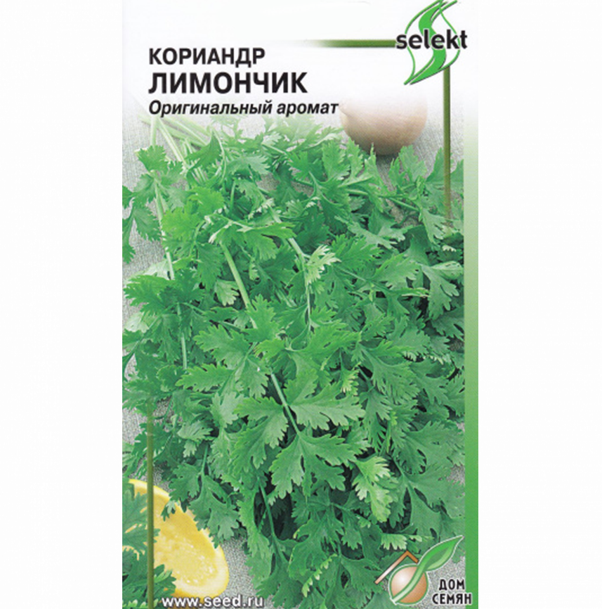 Кориандр Лимончик