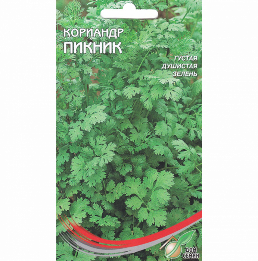 Кориандр Пикник	