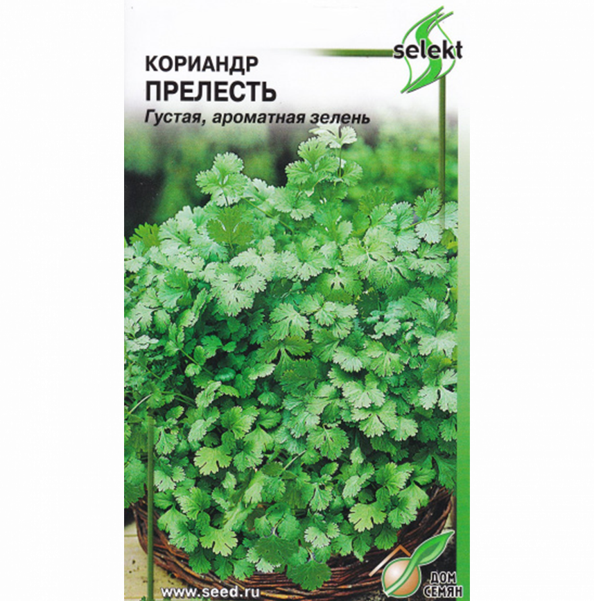 Кориандр Прелесть