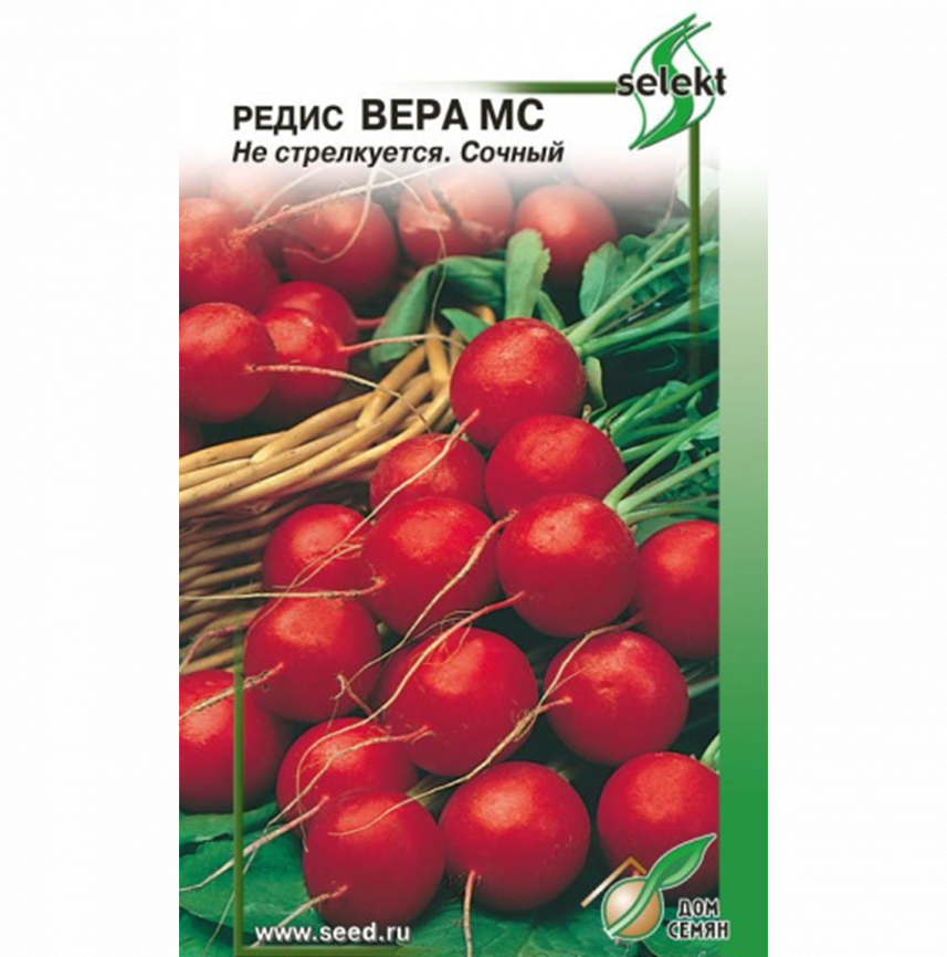 Редис Вера