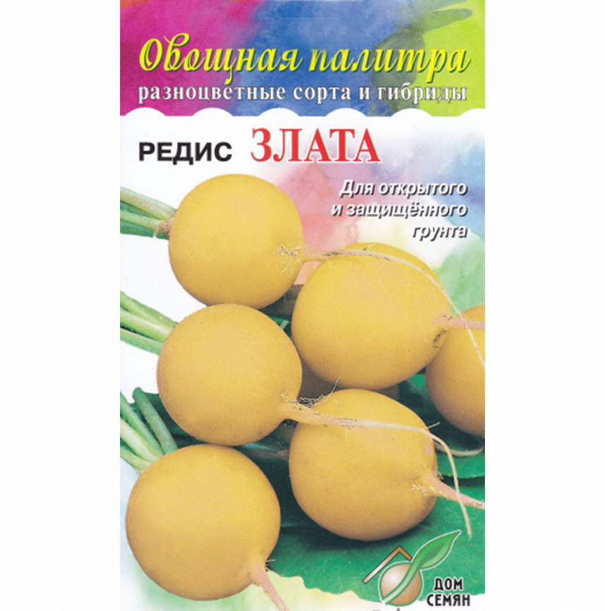 Редис Злата