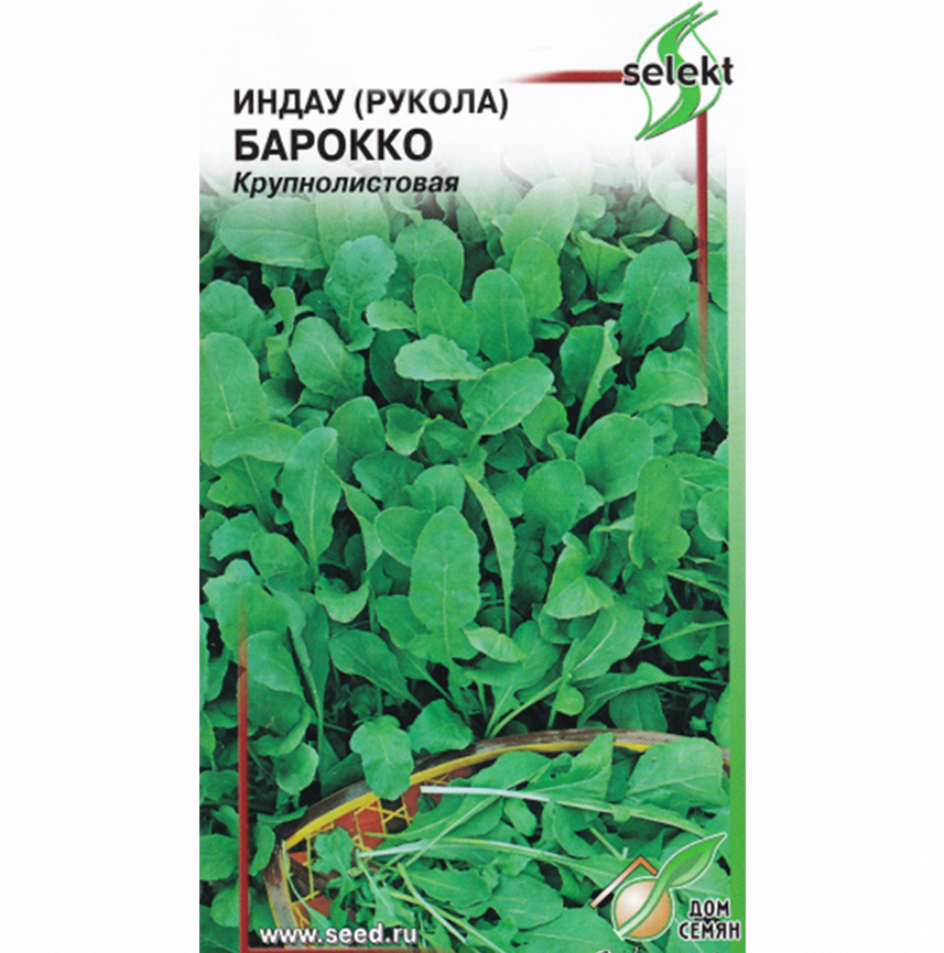 Индау (руккола) Барокко