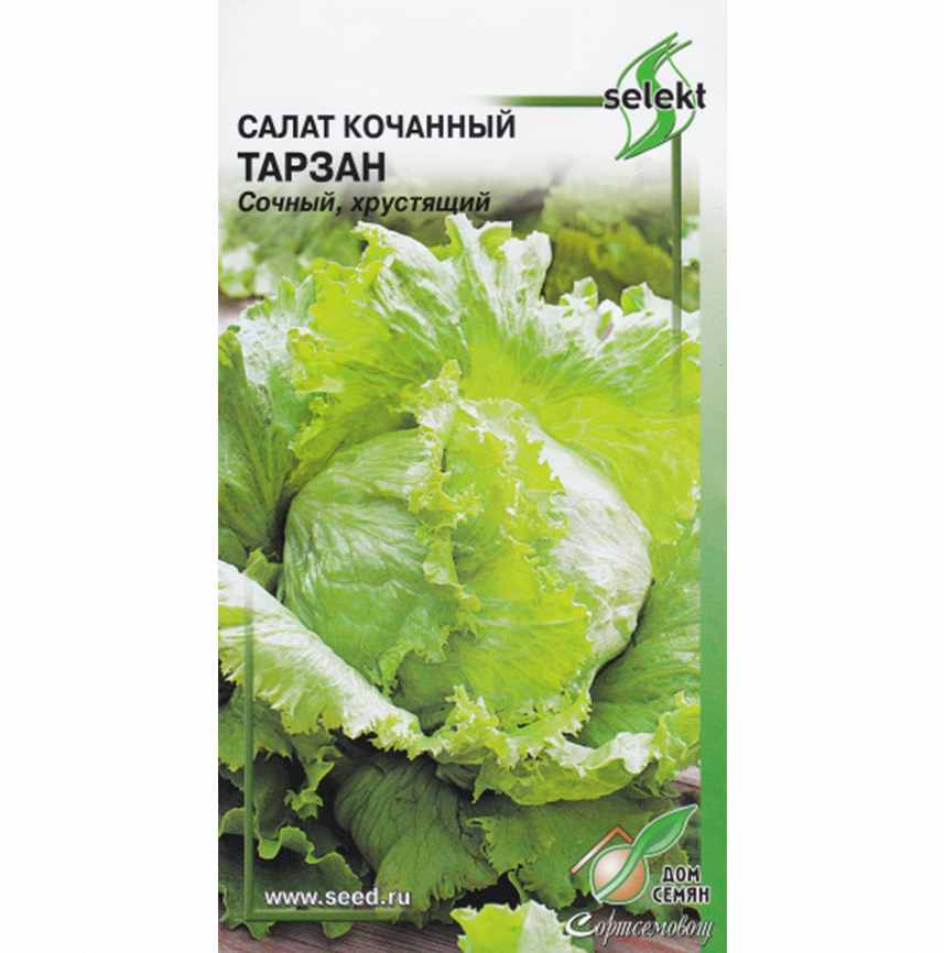 Салат Тарзан