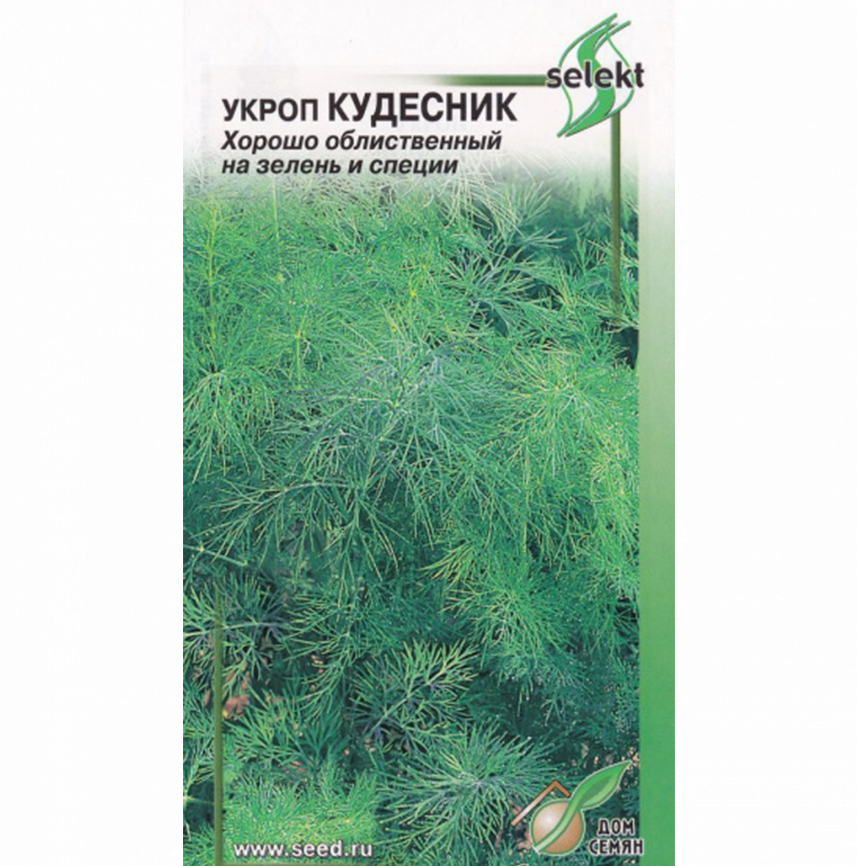 Укроп Кудесник