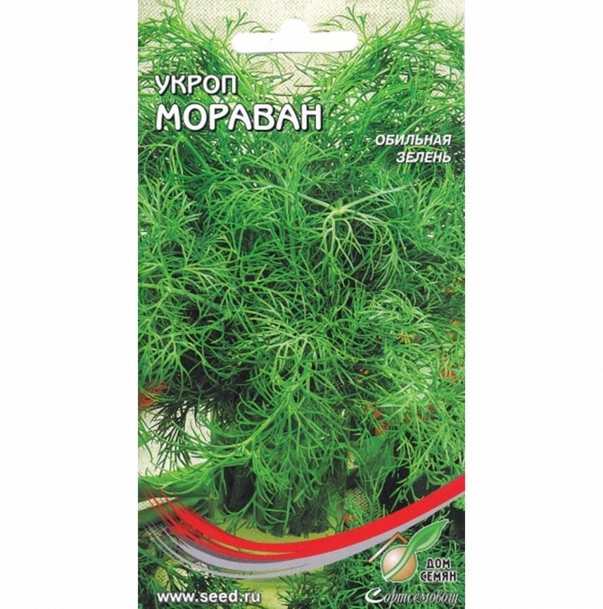 Укроп Мораван