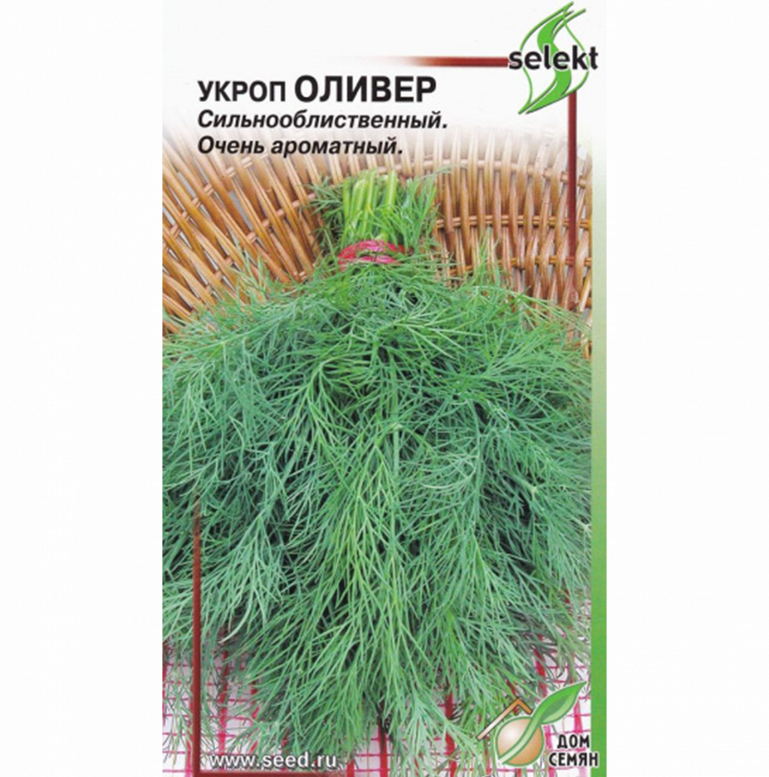 Укроп Оливер