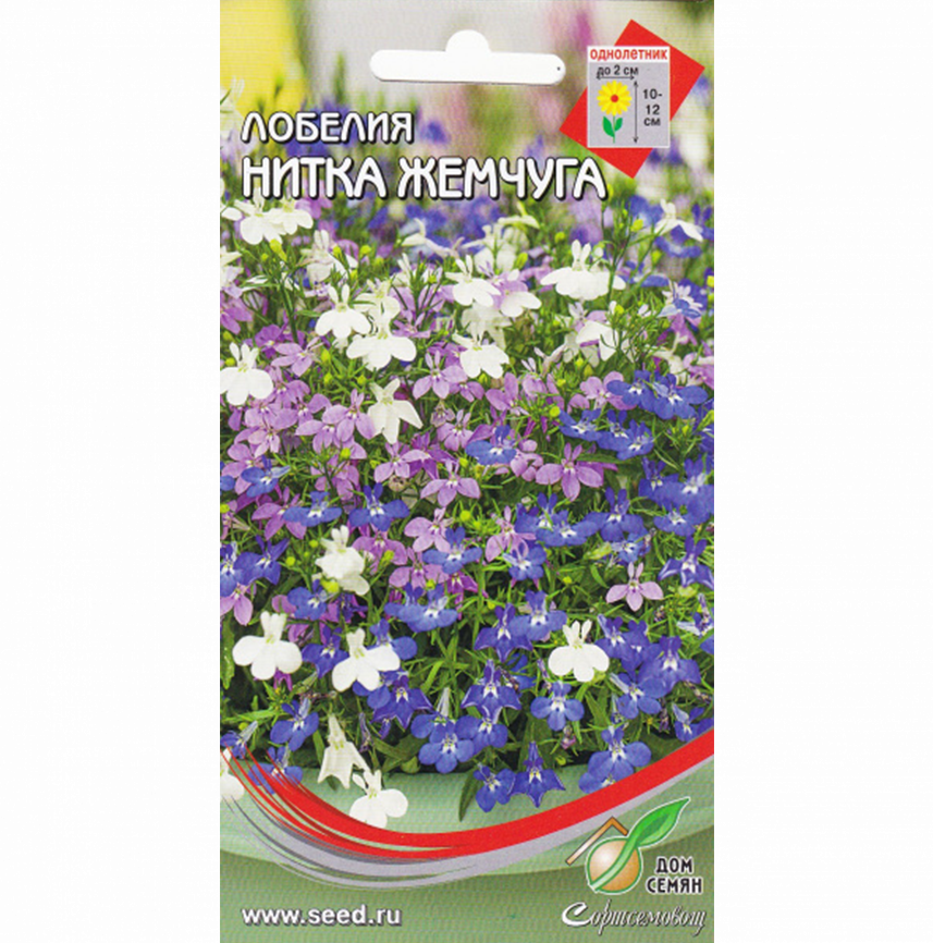 Лобелия Нитка Жемчуга