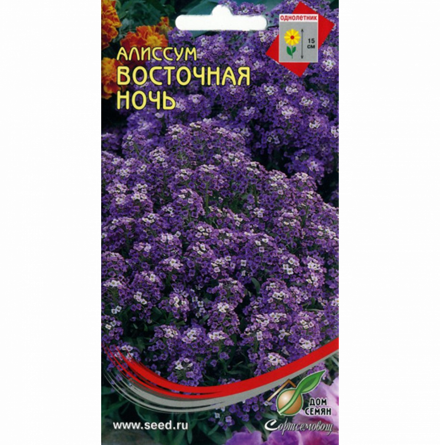 Алиссум Восточная ночь