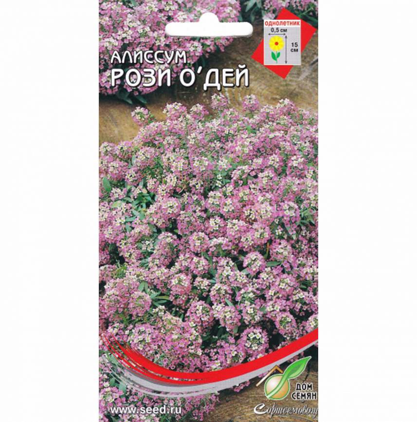 Алиссум Рози О,Дей