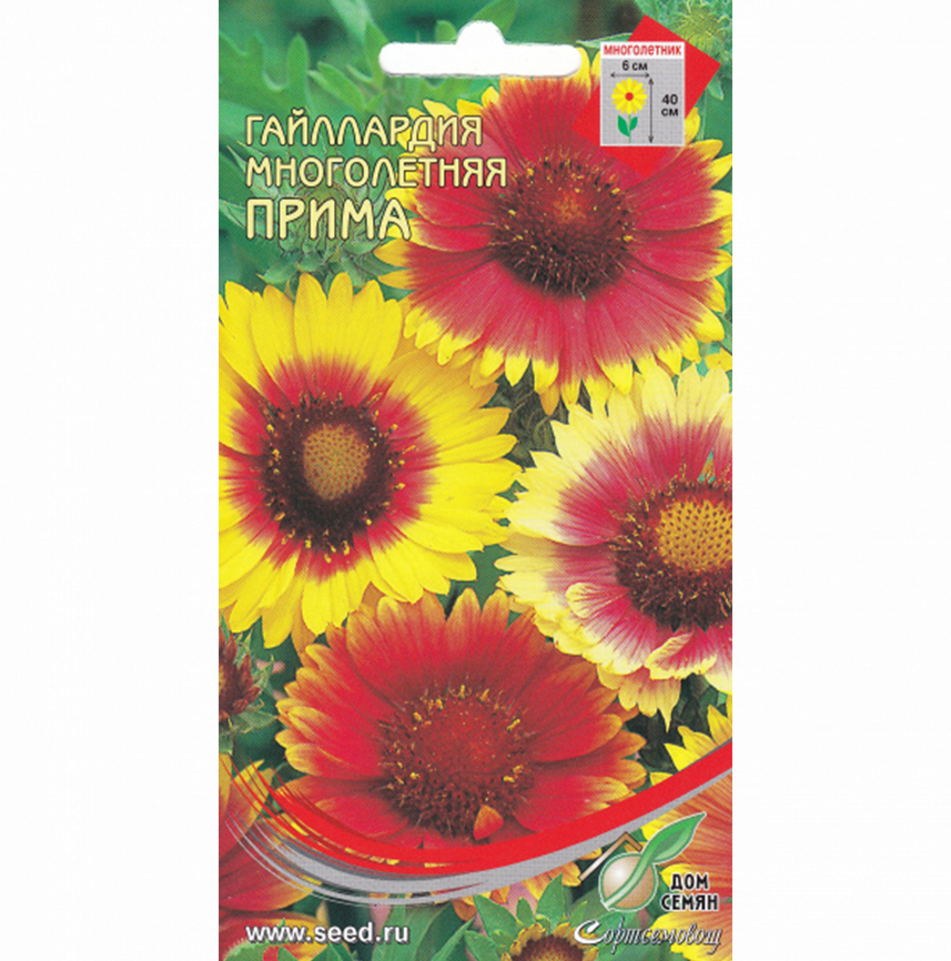 Гайлардия Прима мног.