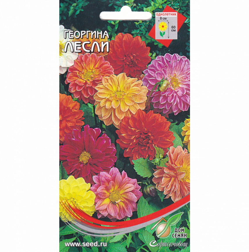 Георгина махр. Лесли