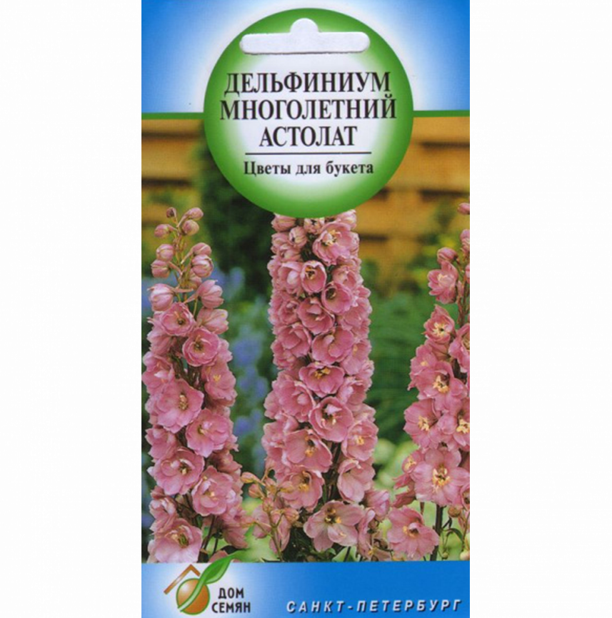 Дельфиниум Астолат, мн.
