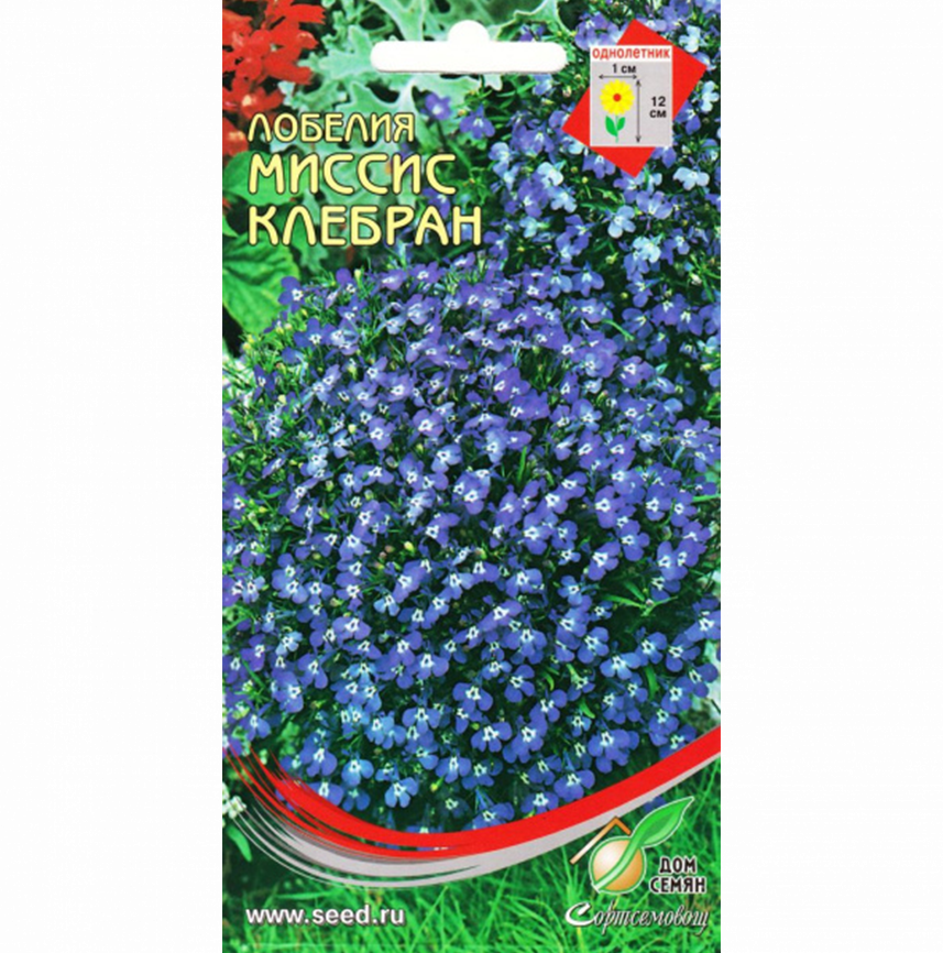 Лобелия Миссис Клебран