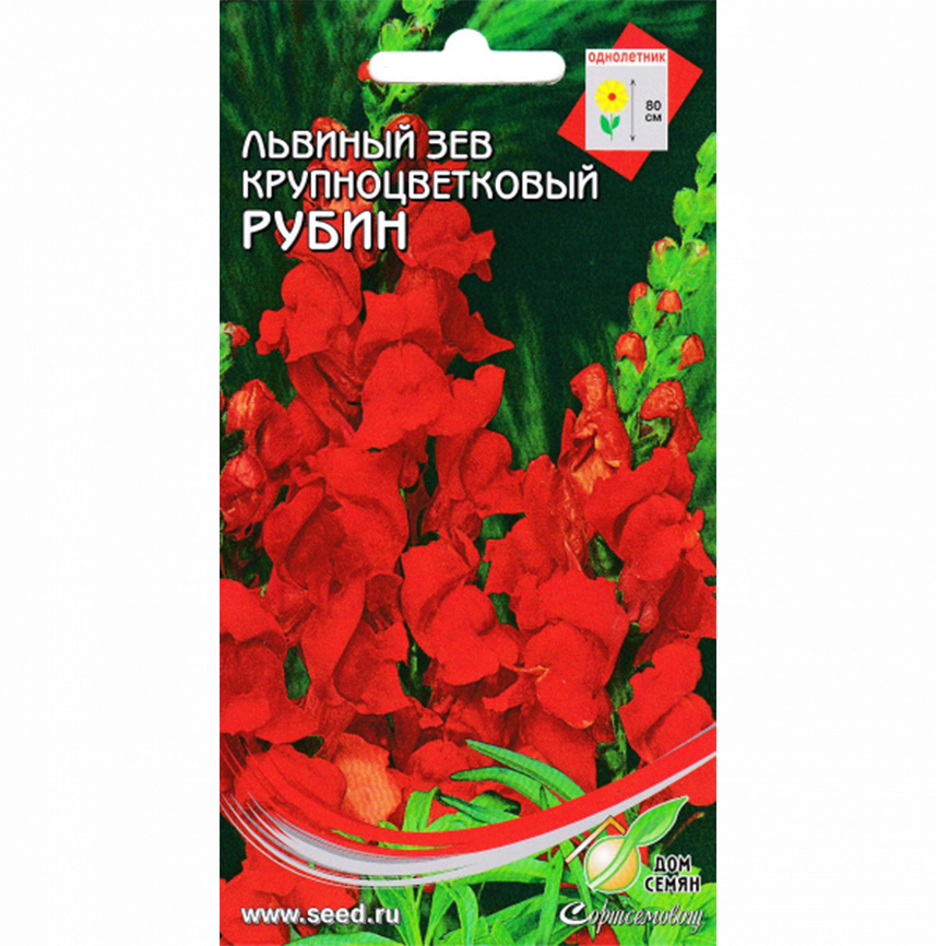 Львиный зев крупноцв. Рубин