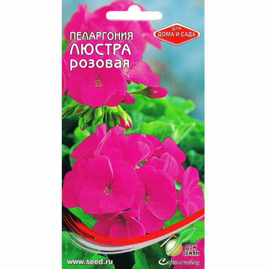 Пеларгония Люстра розовая