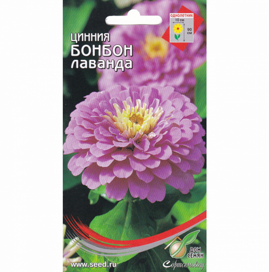 Цинния Бонбон лаванда