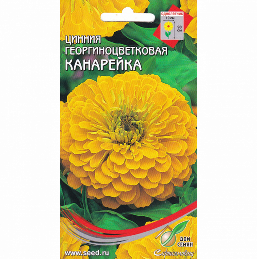 Цинния георг. Канарейка