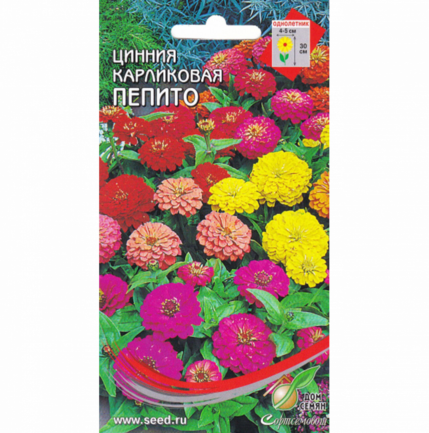 Цинния карликовая Пепито