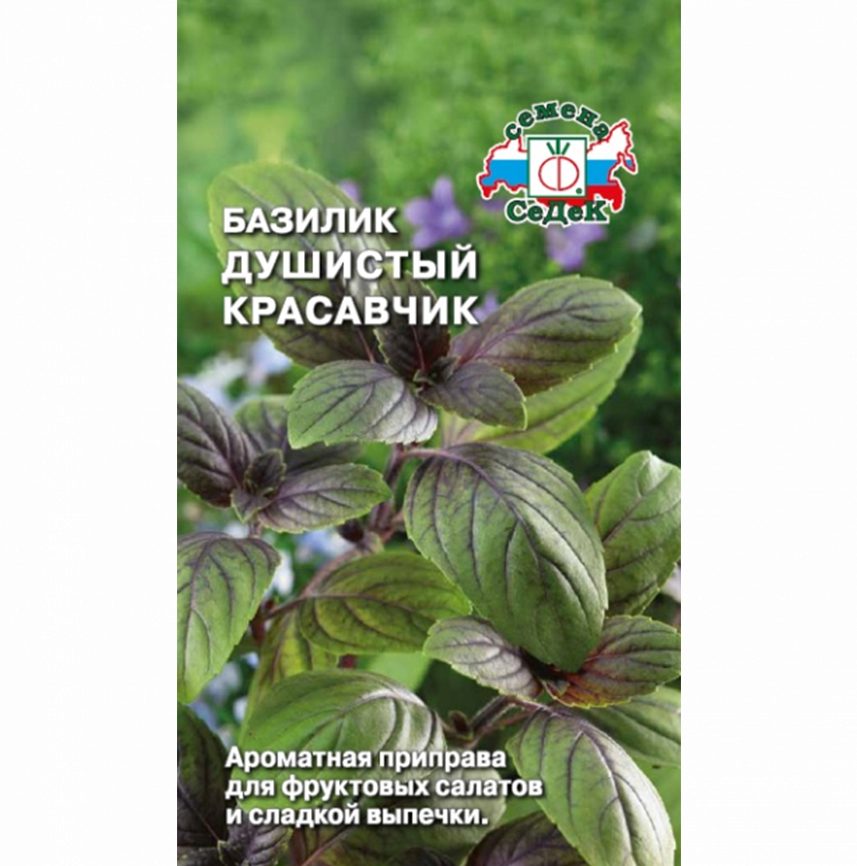 Базилик Душистый Красавчик