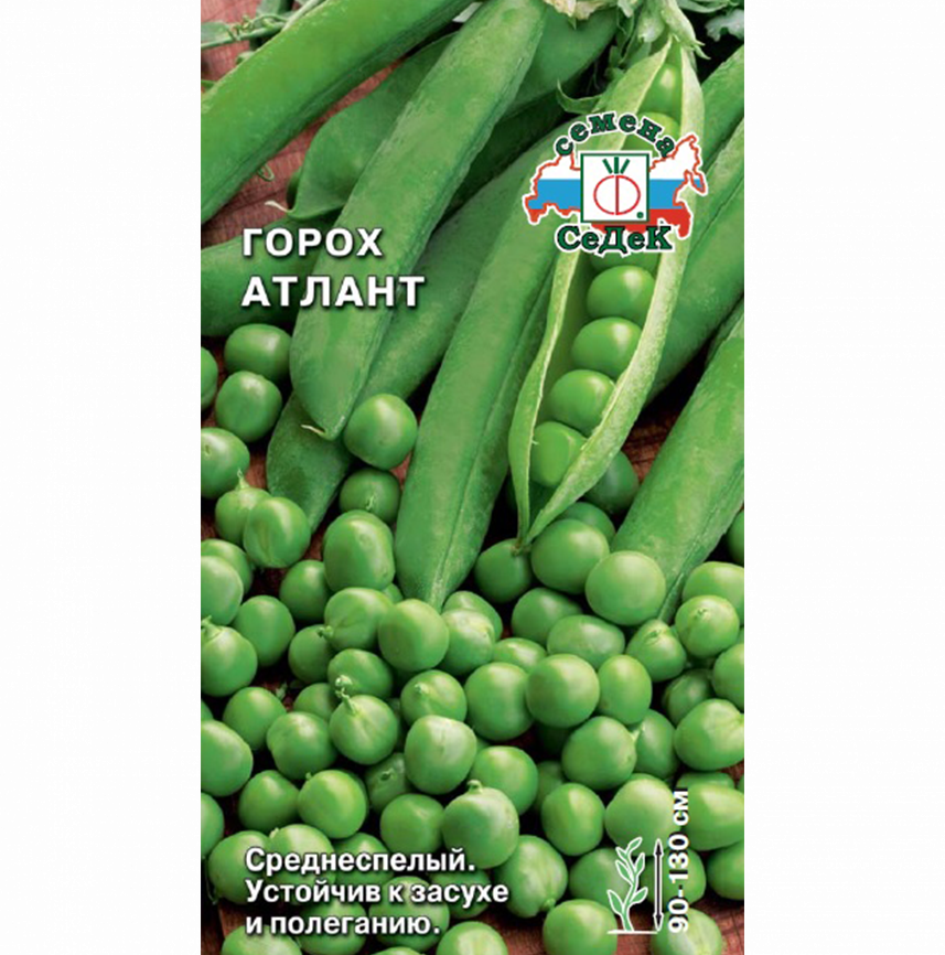 Горох Атлант 2