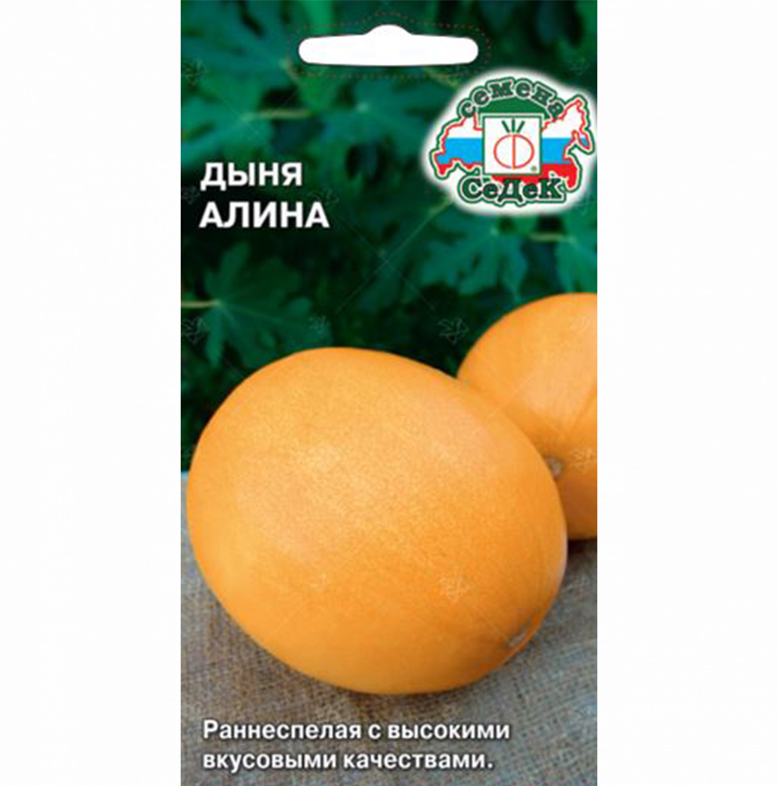 Дыня Алина