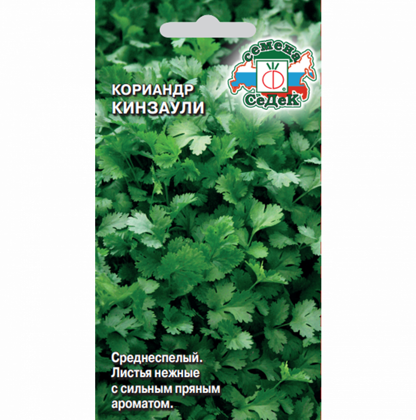 Кориандр Кинзаули