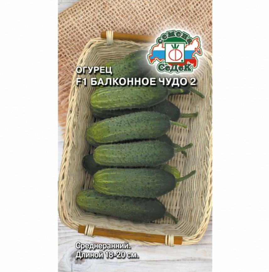 Огурец Балконное Чудо 2 F1