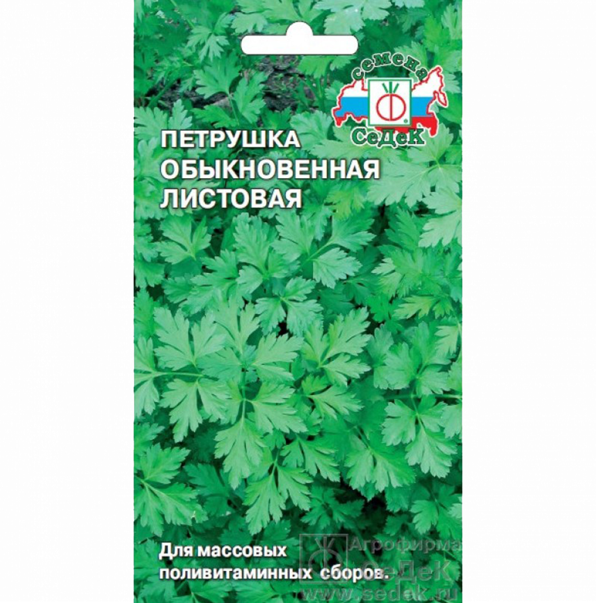 Петрушка Обыкновенная листовая