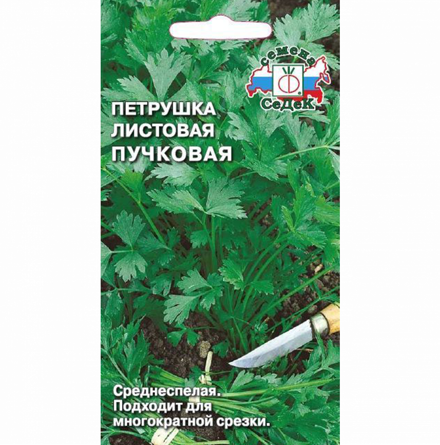 Петрушка Пучковая