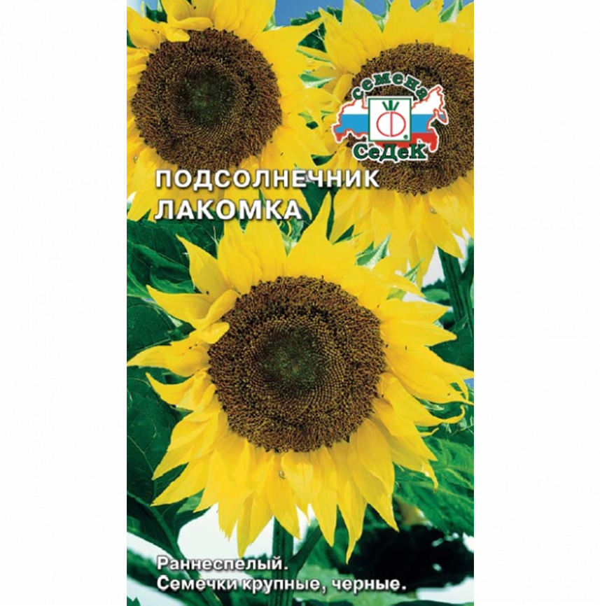 Подсолнечник Лакомка