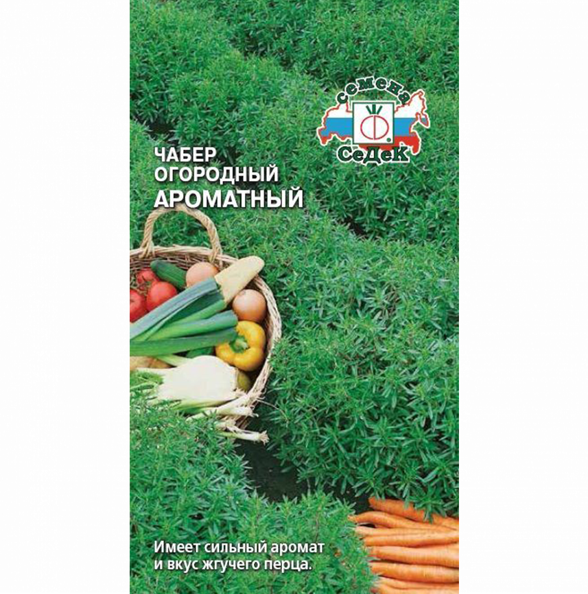 Чабер огородный Ароматный