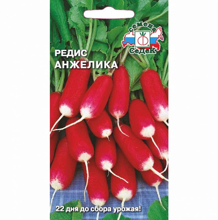 Редис Анжелика