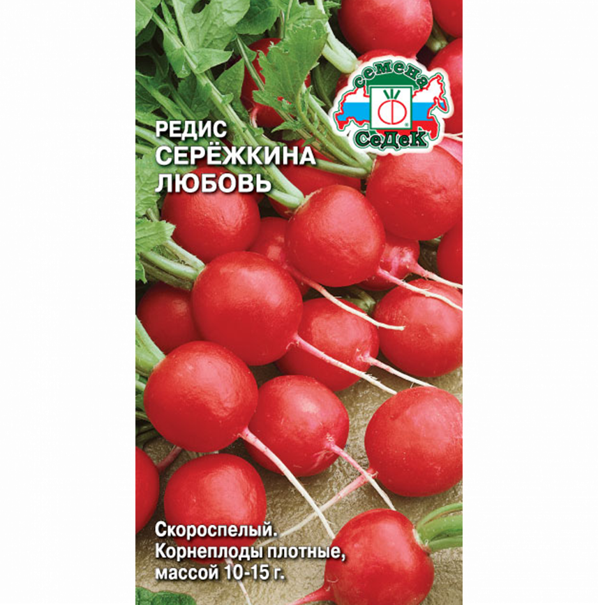 Редис Сережкина любовь