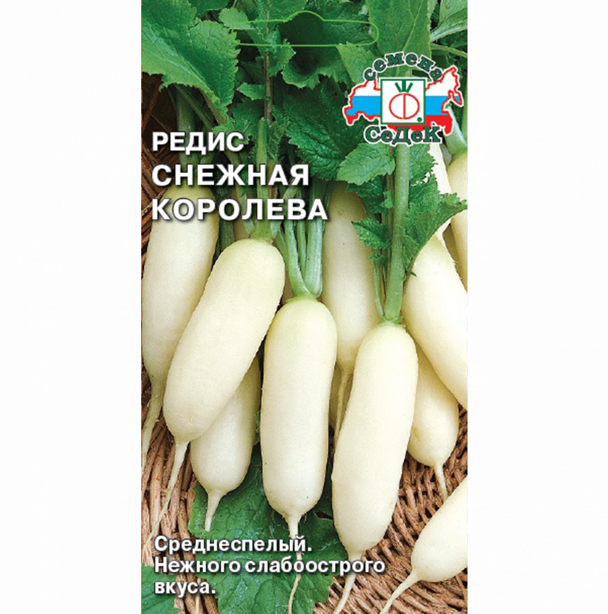 Редис Снежная Королева