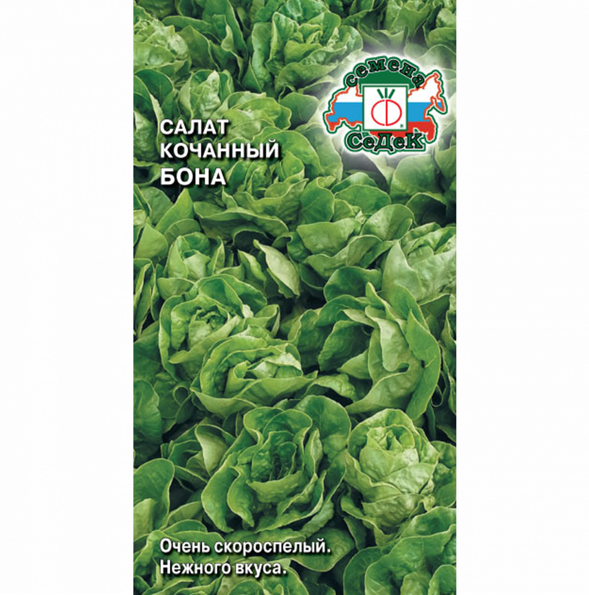 Салат Бона