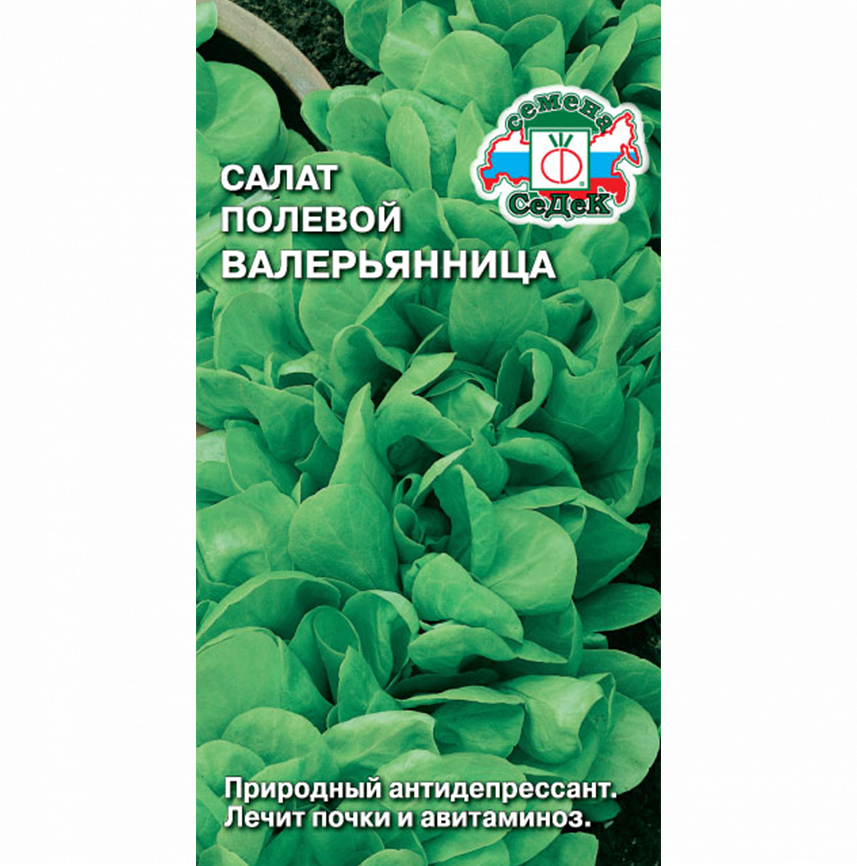 Салат Валерьянница Огородная