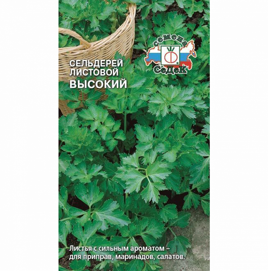 Сельдерей Высокий